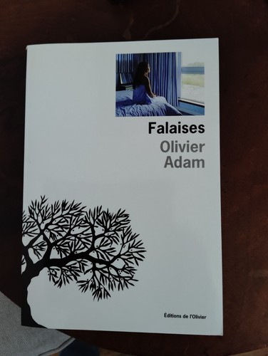 Falaises olivier adam - olivier,