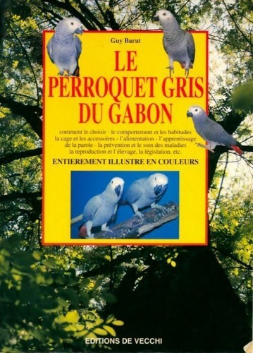 Perroquet gris gabon - gris,