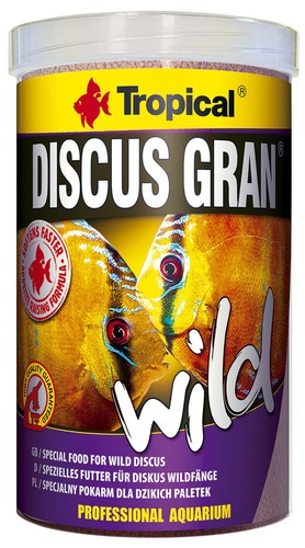 250 tropical wild discus - ml,