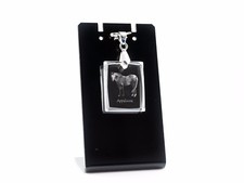 Appaloosa, Collier En Cristal