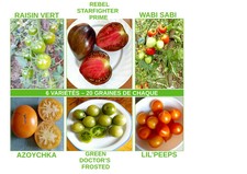 Lot tomates rares 6 variétés