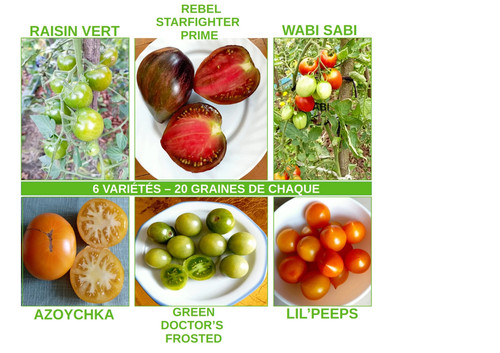 Lot tomates rares - , 6
