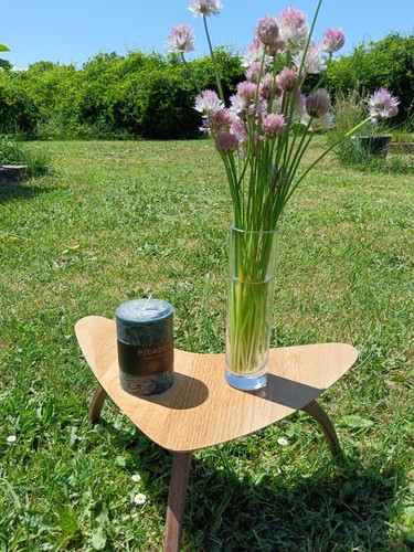 Table basse design