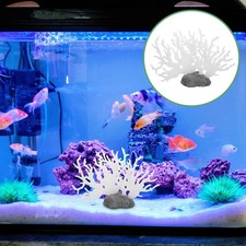 Gravier Pour Aquarium Plantes