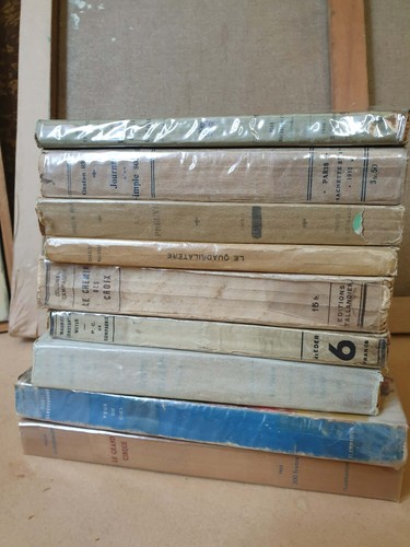 Lot livres guerre - 9,