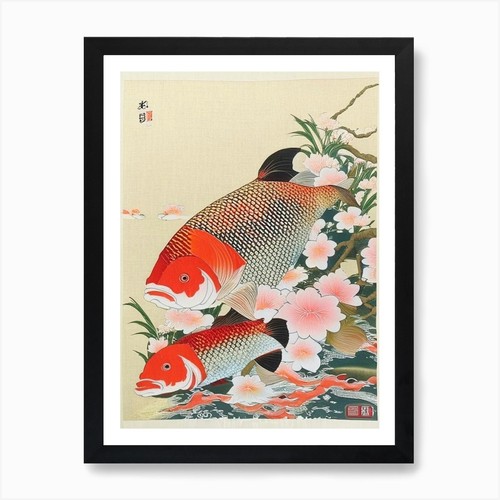 Tancho koi fish - 1,, e