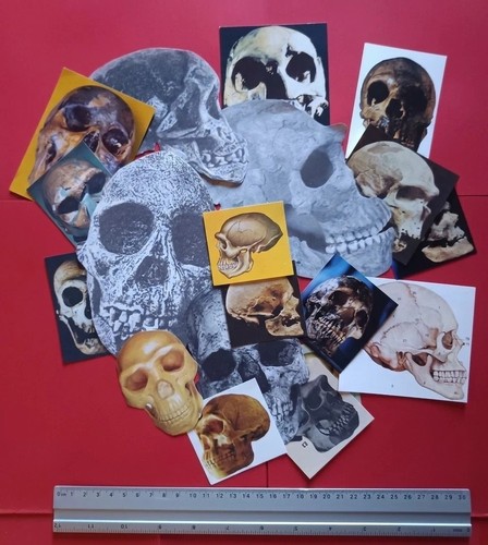 Pack ephemera 100 - pack,
