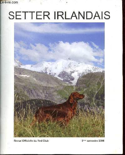 Setter irlandais revue - setter,