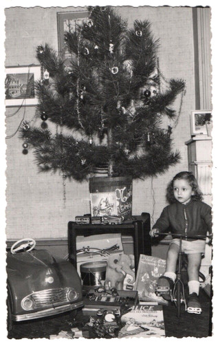 Photo christmas snapshot - christmas,
