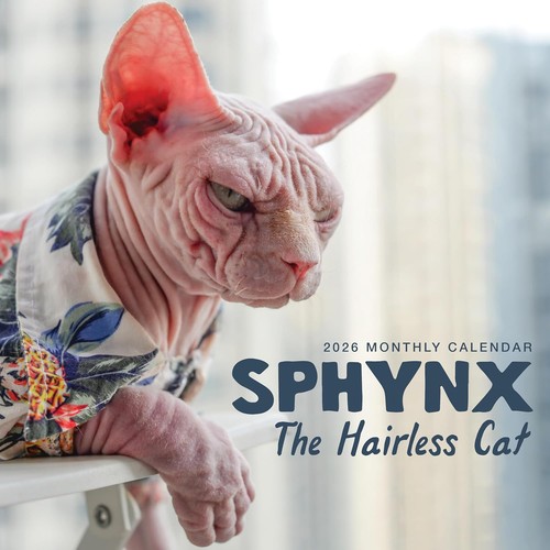Chat sphynx calendrier mural - calendrier,