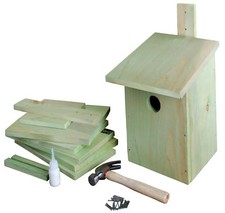 Bastelsatz Nichoir Kit de Montage Bricolage Enfants Bricoler Mésange