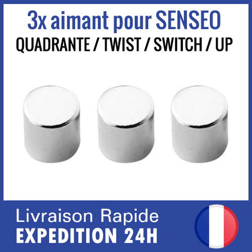 Aimant pour flotteur - 3x,