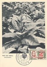 CARTE MAXIMUM JEAN NICOT -