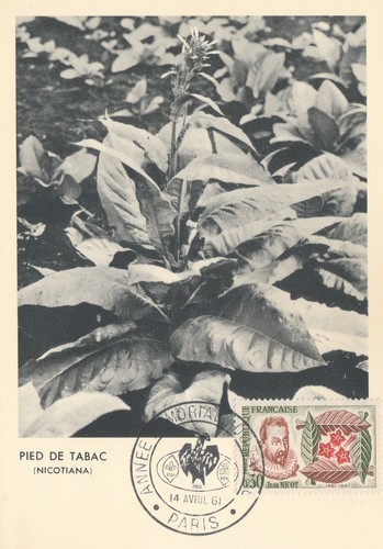 Carte maximum jean - carte,