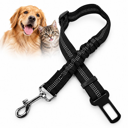 Harnais ceinture sécurité - harnais,