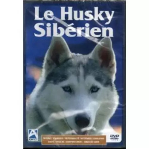 Husky sibérien vhs - le,