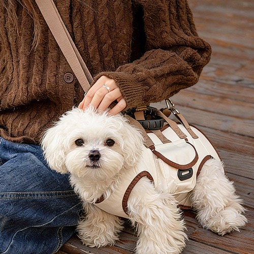 Harnais pour chien - sac, de