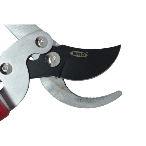 Sécateur coupe branche - sécateur, coupe-branche