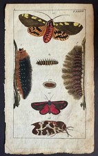 Rare 1797 Wilhelms 3 TIGER