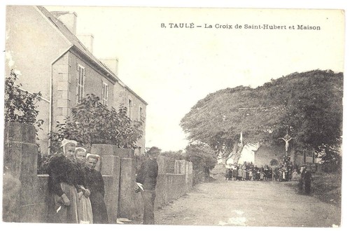 Cpa taule - 29,