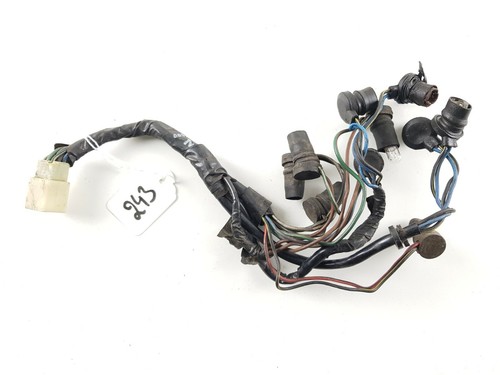 Faisceau électrique compteur