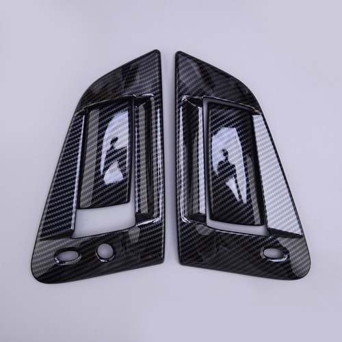 Carbon fiber style door - carbon,