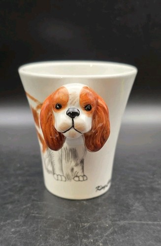 Cavalier king charles - cavalier,