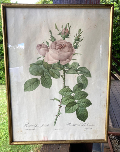 Lithographie ancienne joseph - ancienne,
