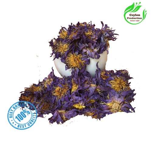 Fleur lotus bleue - fleur,