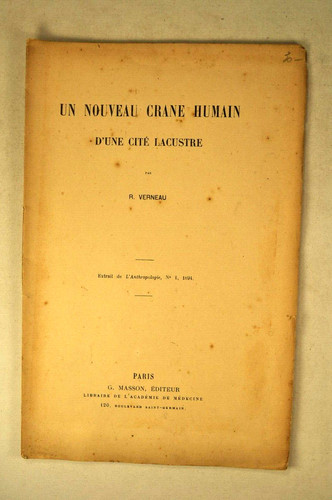 Verneau nouveau crane - nouveau, humain