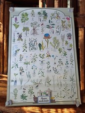 Ancien grand poster vintage plantes médicinales illustration botanique déco mura