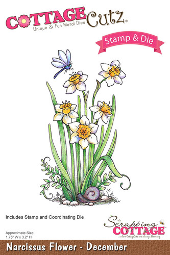 Fustelles big shot sizzix - fustelles,