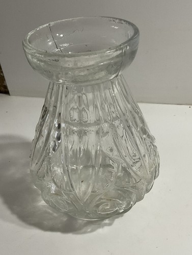 Vase bulbe jacinthe - À, en