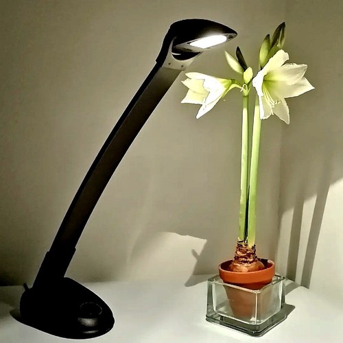 Lampe keos design bertone - lampe,