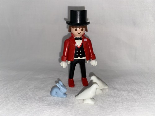 Playmobil magicien 4667 - magicien,
