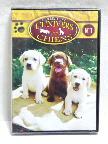 Collection univers des - l'univers,