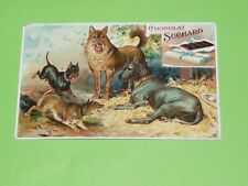 CHROME CHOCOLATE SUCHARD 1900-1910 DOGS TERRIER RATIER SHEPHERD GREATE GERMAN
