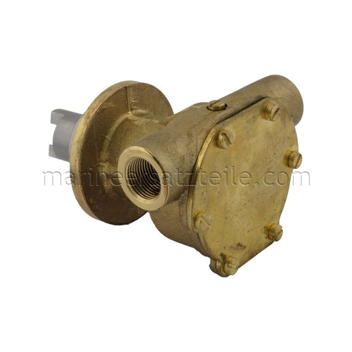 Johnson pump 35161 pompe - johnson,