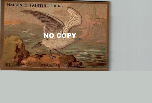 Lot chromos gaufrées - lot, 4