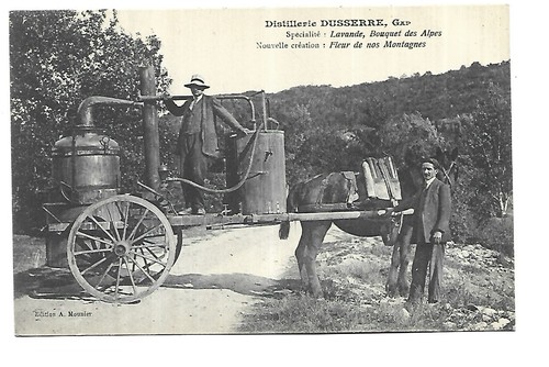 Gap distillerie dusserre - ,