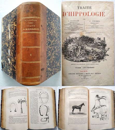 Traité hippologie tome 2 - traité, d'hippologie