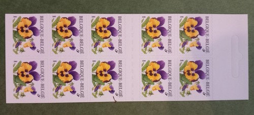 Carnet fleurs buzin - fleurs,