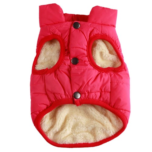 Manteau coupe vent pour - pour, chien