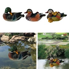 Réaliste Résine Mandarin