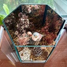 Vintage Terrarium with Moss