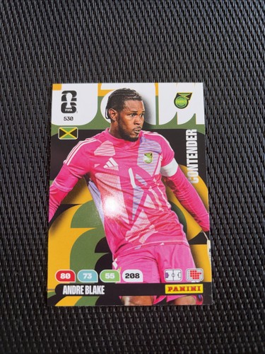 Panini fifa world cup - world,
