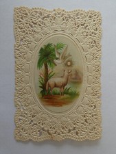 pious image sheep without the good shepherd with dove