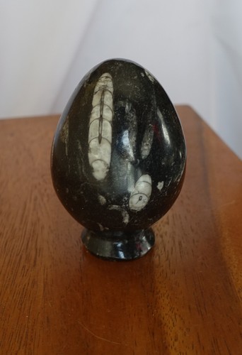 Oeuf poli pierre fossile - poli,