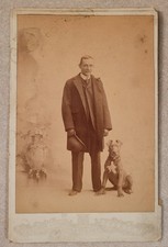 Dapper Man Pit Bull Terrier Dog Toledo Ohio Studio Cabinet Photo