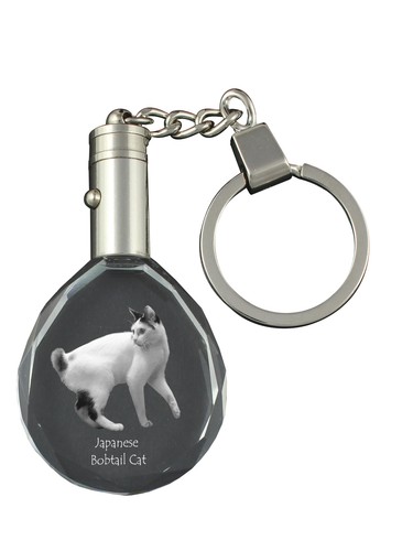 Japonaise bobtail chat fob - bobtail,